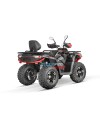 Tricia 300cc Platin Homologué - zugelassenes 300cc Quad