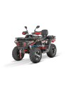 Tricia 300cc Platin Homologué - zugelassenes 300cc Quad