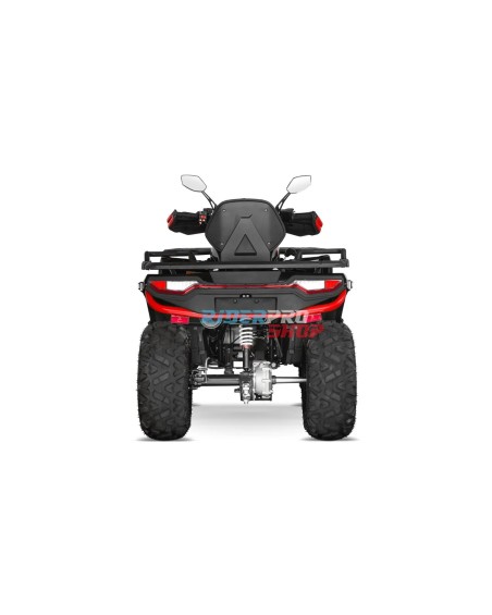 Tricia 300cc Platin Homologué - zugelassenes 300cc Quad