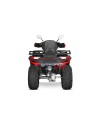 Tricia 300cc Platin Homologué - zugelassenes 300cc Quad
