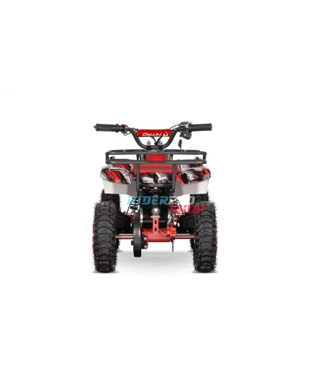 Quad Électrique 1000W Premium Sécurité Enfant