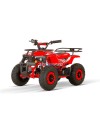 Dusty BTF XL - electric quad for kids 1200W