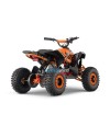 Avenger Snowy XL Sport 6" 48V Quad niño 1200W