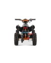 Python Snowy Sport 6" quad 1000W - [cuatrimoto 1000W]