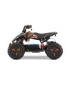 Quad Électrique Premium Python Snowy Sport 1000W